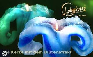 Lotuskerze - Aquarell 28 cm trkis